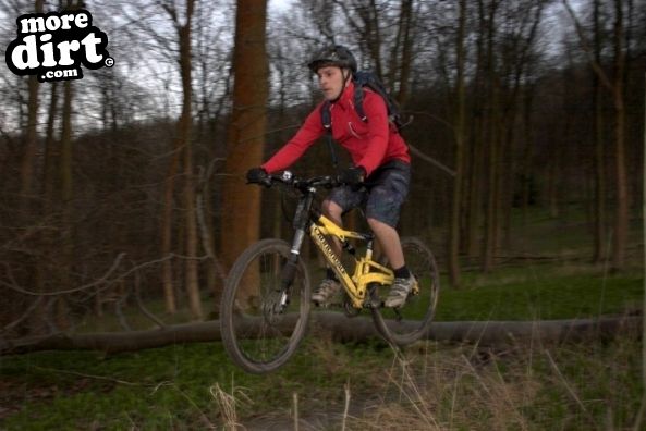 Queen Elizabeth Country Park Mountain Bike Trails