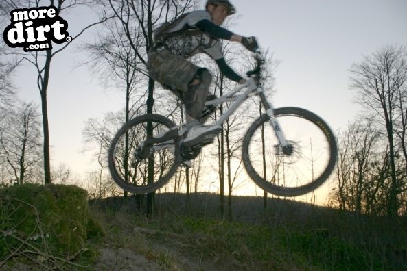 Queen Elizabeth Country Park Mountain Bike Trails