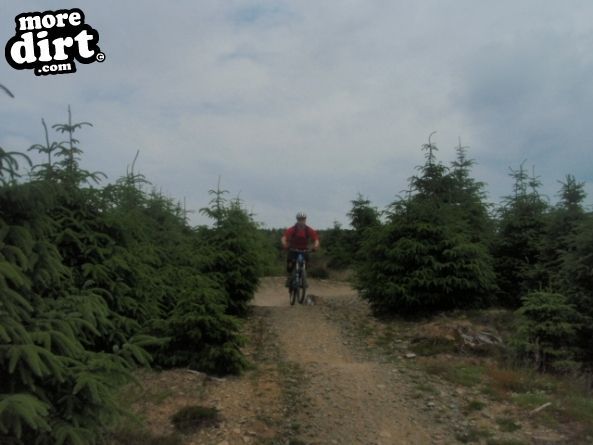Twrch Trail - Cwmcarn