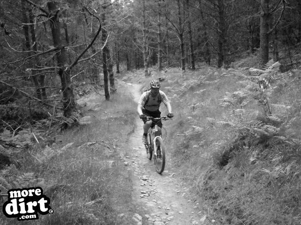 Skyline Trail - Afan Forest