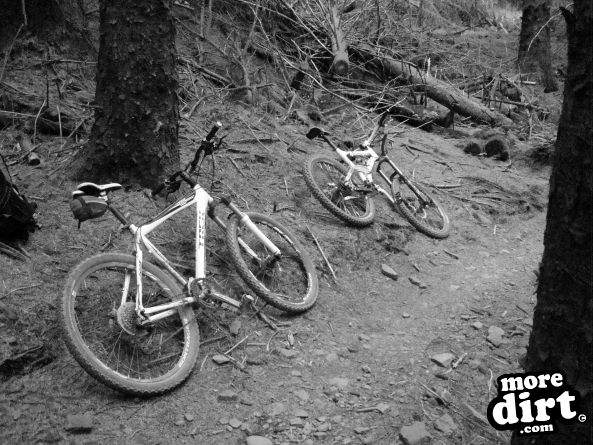 Skyline Trail - Afan Forest