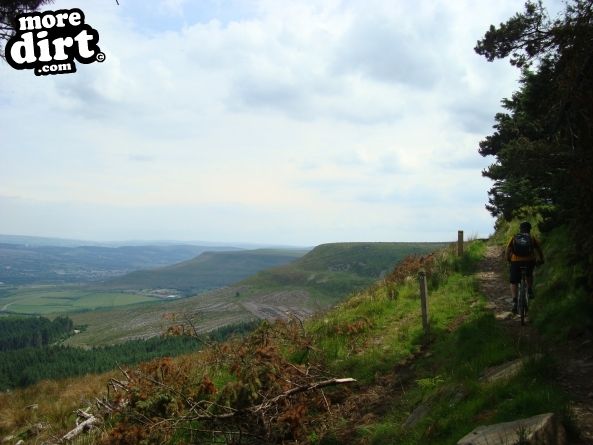 Skyline Trail - Afan Forest