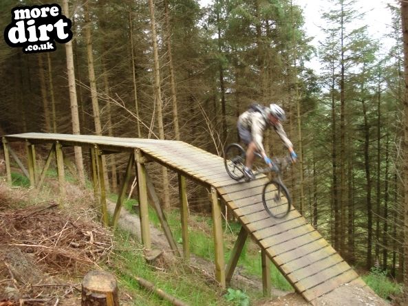 Black Trail - Coed Llandegla Forest