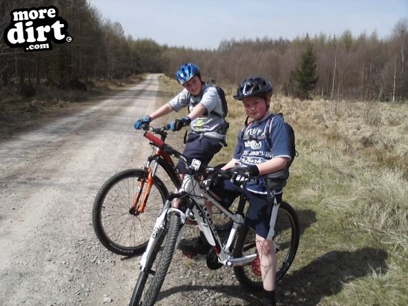 Family Trail - Forest of Dean