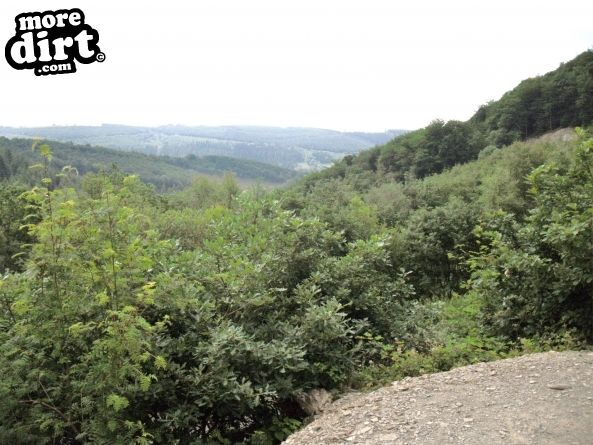 Derwen Trail - Brechfa