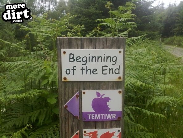 Dragons Back Trail - Coed-y-Brenin