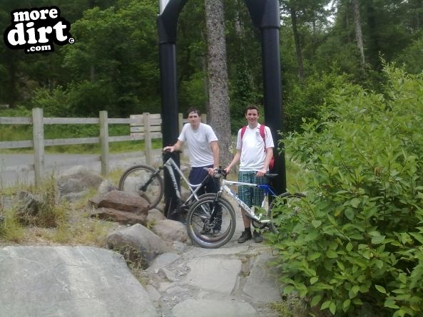 Dragons Back Trail - Coed-y-Brenin