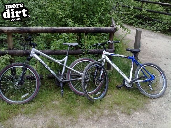 Dragons Back Trail - Coed-y-Brenin