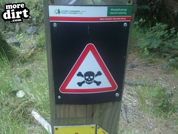 Dragons Back Trail - Coed-y-Brenin