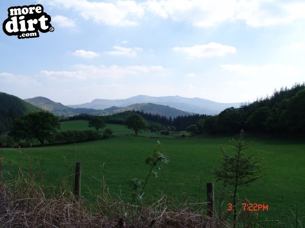 Dragons Back Trail - Coed-y-Brenin