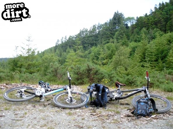 Derwen Trail - Brechfa