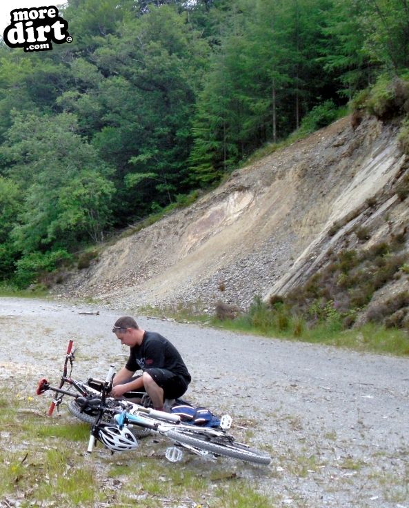 Derwen Trail - Brechfa