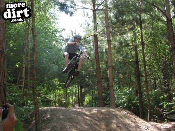 Swinley Forest Mountain Bike Centre