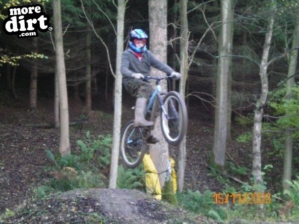 Bringewood DH