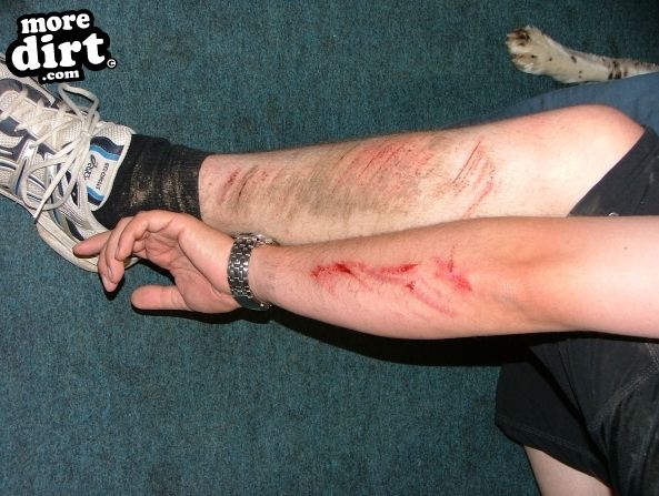 Queen Elizabeth Country Park Mountain Bike Trails