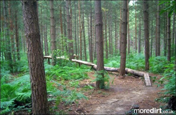 Bedgebury Freeride Area