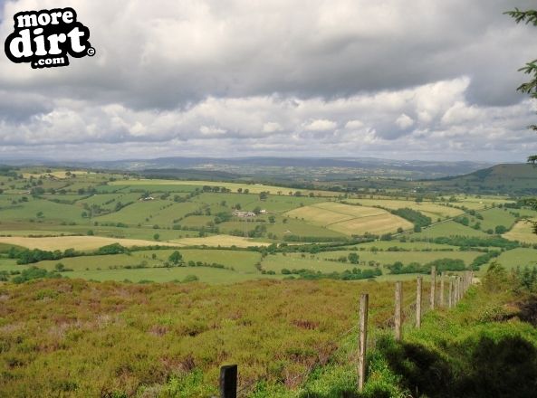 Red Trail - Coed Llandegla Forest