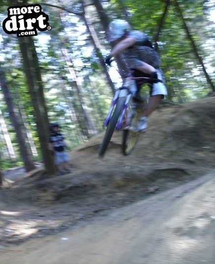 Swinley Forest Mountain Bike Centre