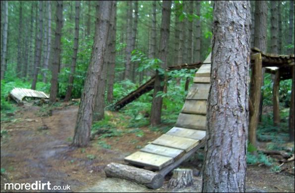 Bedgebury Freeride Area