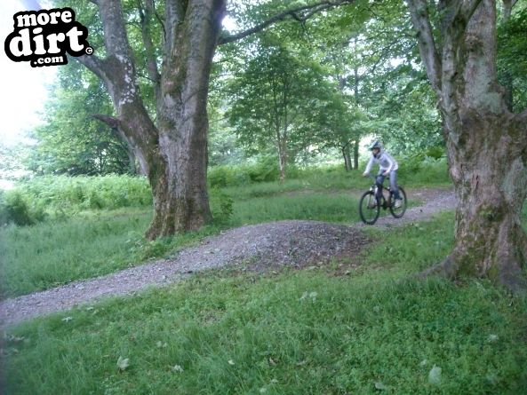 The Soup Dragon Trail, Ordiequish