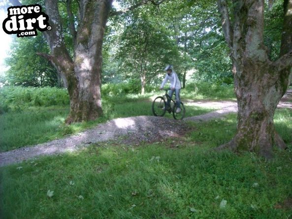 The Soup Dragon Trail, Ordiequish