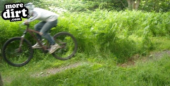 The Soup Dragon Trail, Ordiequish