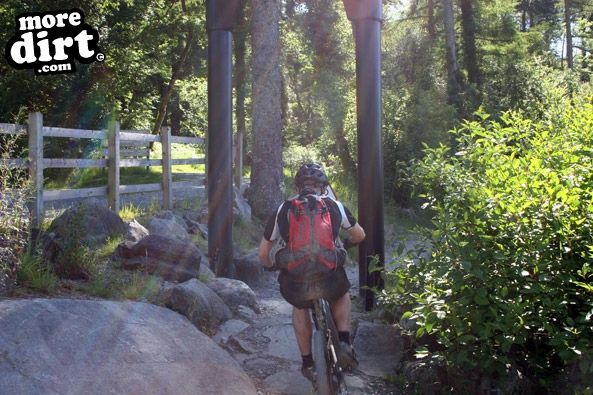 Tarw Trail - Coed-y-Brenin