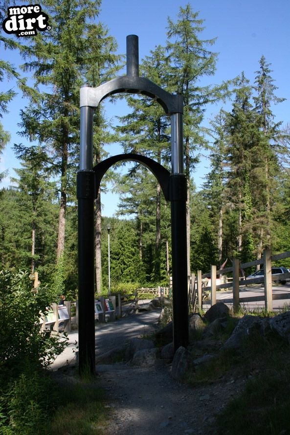 Tarw Trail - Coed-y-Brenin