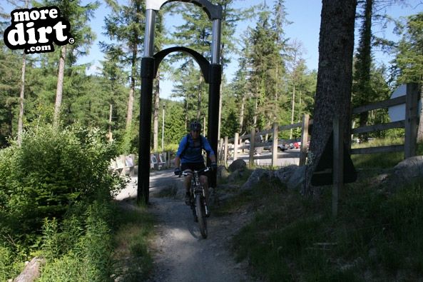 Tarw Trail - Coed-y-Brenin