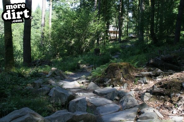 Tarw Trail - Coed-y-Brenin