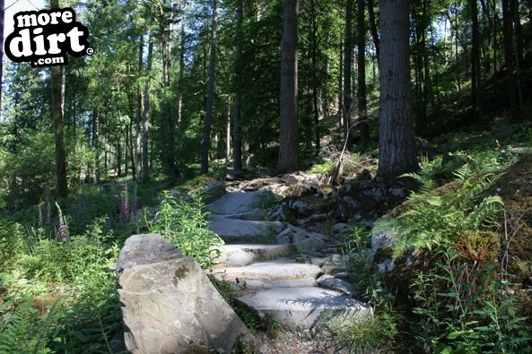 Tarw Trail - Coed-y-Brenin