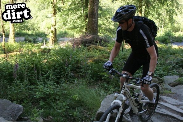 Tarw Trail - Coed-y-Brenin