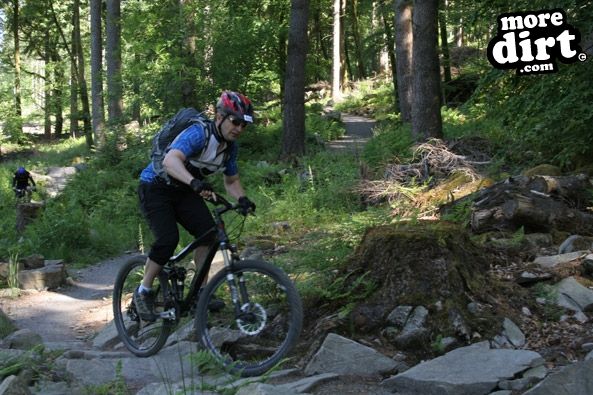 Tarw Trail - Coed-y-Brenin