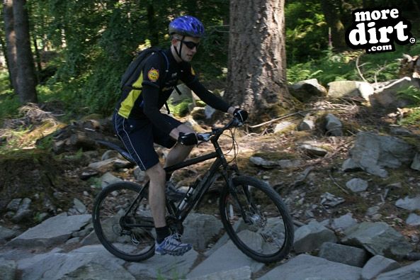 Tarw Trail - Coed-y-Brenin