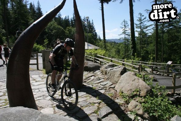 Tarw Trail - Coed-y-Brenin