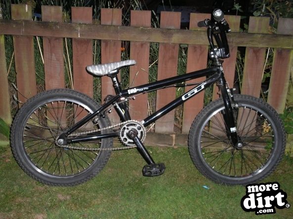 Follow the Dog Trail - Cannock Chase