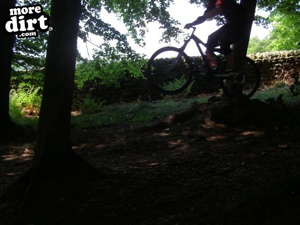 Descent Line Trail - Stainburn Forest