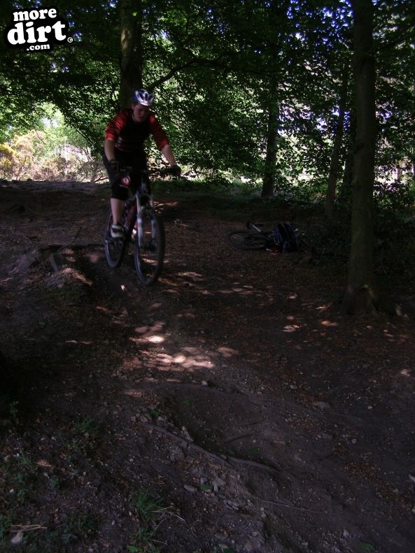 Descent Line Trail - Stainburn Forest