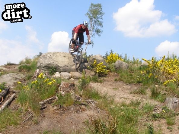 Descent Line Trail - Stainburn Forest
