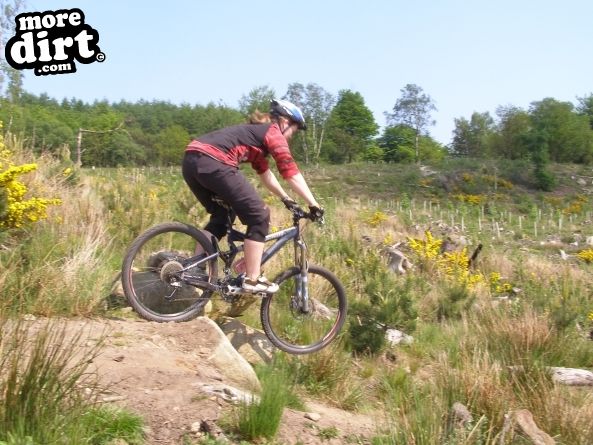Descent Line Trail - Stainburn Forest