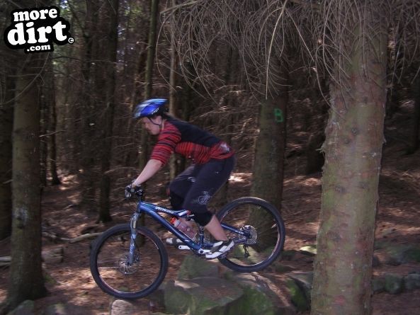 Warren Boulder Trail - Stainburn Forest