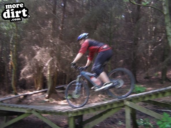 Warren Boulder Trail - Stainburn Forest