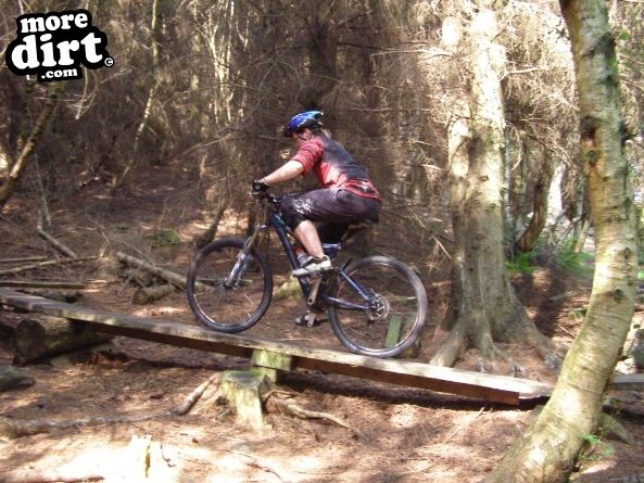 Warren Boulder Trail - Stainburn Forest