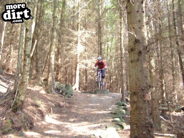 Warren Boulder Trail - Stainburn Forest