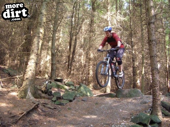 Warren Boulder Trail - Stainburn Forest
