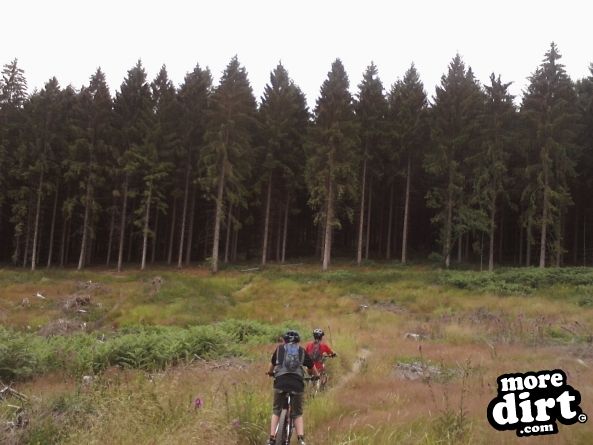 Freeminer Trail - The Forest of Dean