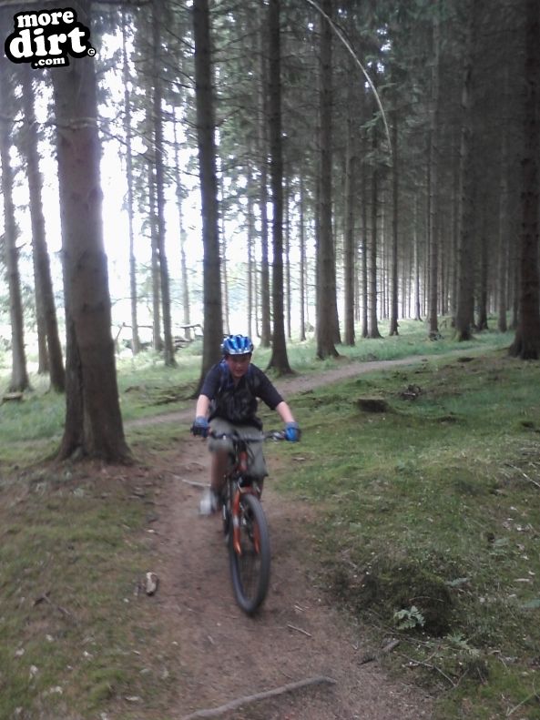 Freeminer Trail - The Forest of Dean