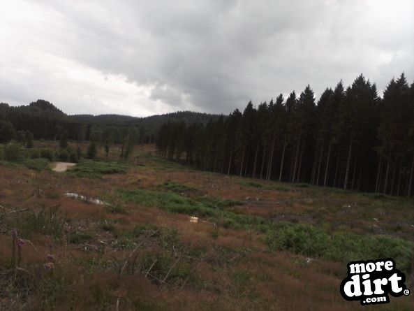 Freeminer Trail - The Forest of Dean