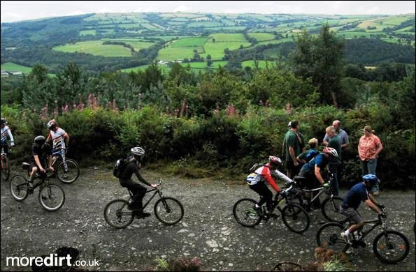 Gorlech Trail - Brechfa