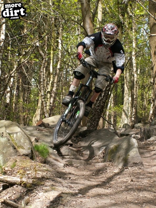 Wharncliffe Woods - DH Trails